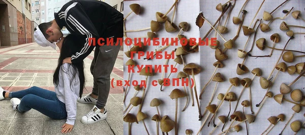 гашиш Беломорск
