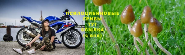 гашиш Беломорск